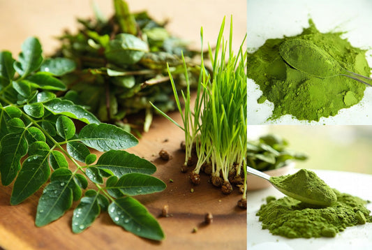 Von der Pflanze zum Pulver So entstehen hochwertige Superfoods