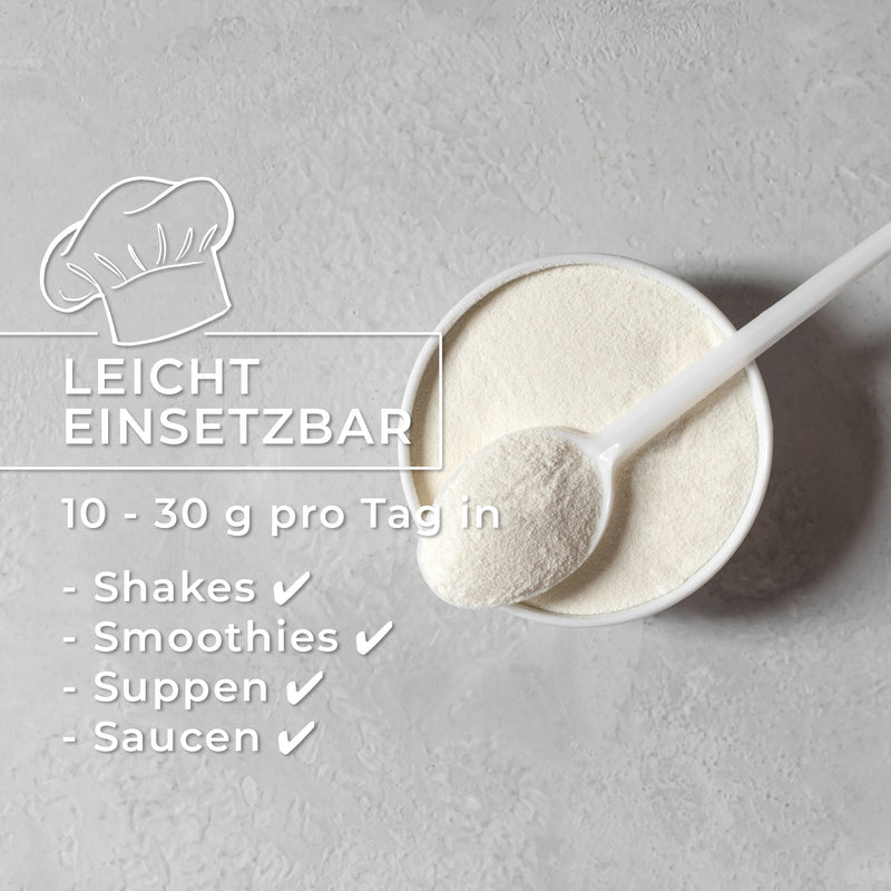 Bioactive Collagen Powder – Type 1 & 3